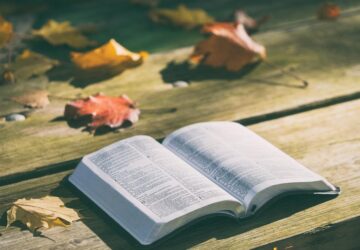 In einer Welt, in der die Technologie in einem beispiellosen Tempo voranschreitet, entwickelt sich die Art und Weise, wie wir Literatur und Wissen konsumieren, weiter, und Audible steht an der Spitze dieser Transformation. Die Hörbuchbranche, die einst als Nischenmarkt für Hörbuchliebhaber galt, hat sich zu einem Mainstream-Unterhaltungs- und Bildungsinstrument entwickelt. Für Marken, auch solche mit Sitz in Deutschland, bietet dieser Wandel sowohl Chancen als auch Herausforderungen. Da Audible weiterhin die Zukunft des Hörens prägt, lohnt es sich zu untersuchen, wie die Plattform zu dieser Revolution beigetragen hat und wie sie dazu beiträgt, die Art und Weise, wie Menschen mit Geschichten, Ideen und Informationen interagieren, neu zu definieren.