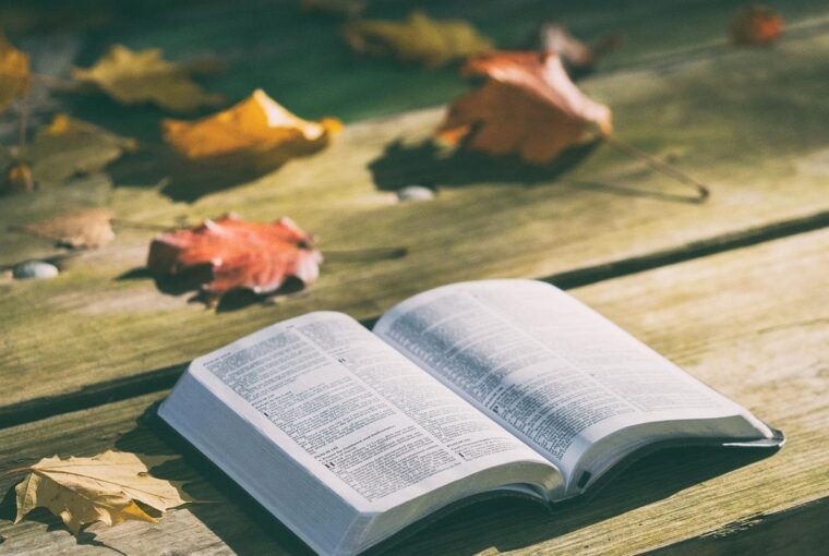 In einer Welt, in der die Technologie in einem beispiellosen Tempo voranschreitet, entwickelt sich die Art und Weise, wie wir Literatur und Wissen konsumieren, weiter, und Audible steht an der Spitze dieser Transformation. Die Hörbuchbranche, die einst als Nischenmarkt für Hörbuchliebhaber galt, hat sich zu einem Mainstream-Unterhaltungs- und Bildungsinstrument entwickelt. Für Marken, auch solche mit Sitz in Deutschland, bietet dieser Wandel sowohl Chancen als auch Herausforderungen. Da Audible weiterhin die Zukunft des Hörens prägt, lohnt es sich zu untersuchen, wie die Plattform zu dieser Revolution beigetragen hat und wie sie dazu beiträgt, die Art und Weise, wie Menschen mit Geschichten, Ideen und Informationen interagieren, neu zu definieren.