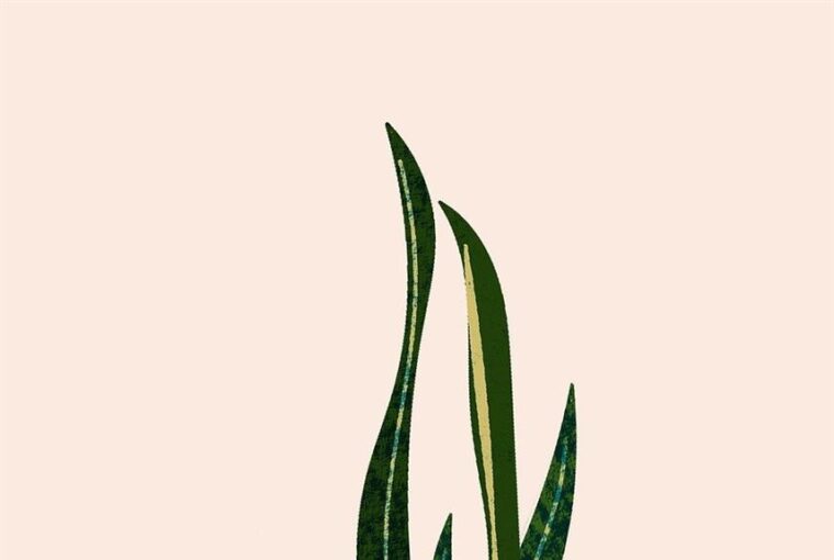 In the verdant, rolling valleys of rural Devon, a story of passion, craftsmanship, and sustainability unfolds with Ruby, a brand that has become synonymous with the beauty and integrity of wood. For over 25 years, Ruby has been inspired by the majestic landscapes of its surroundings, deeply understanding the importance of nature and the joy of outdoor living. This article delves into how Ruby is crafting nature's elegance, producing sustainable wooden wonders that harmonize with the preservation of our natural world.