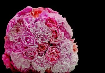 When it comes to sending flowers, the rose reigns as the ultimate symbol of comfort and love. “First, we select the best roses from those that arrive daily and these supreme roses are used in our luxurious bouquets.” At our farm Rosaholics we’ve revolutionized flower delivery, going straight to the source of our own award winning family rose farm to deliver premium roses right to your door. No middlemen, no waiting, just farm-fresh roses cut by hand and shipped with care.