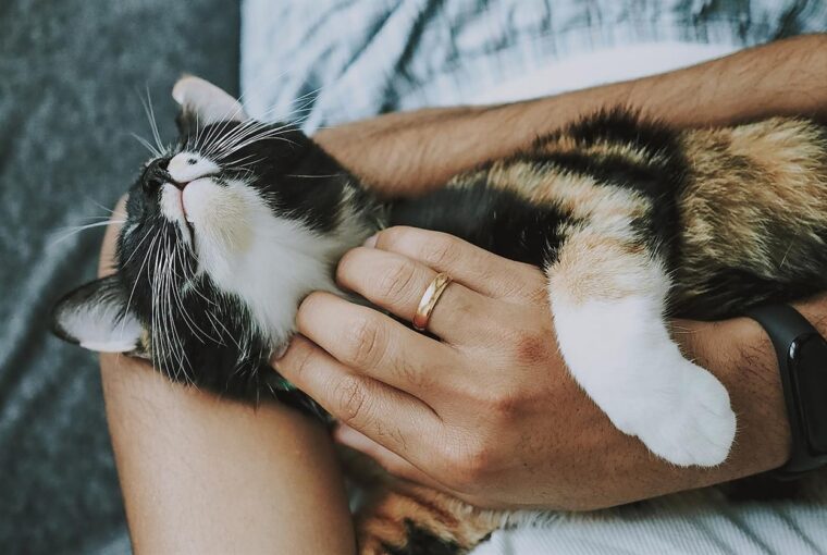 In der florierenden Heimtierpflegebranche hat sich ZOOLOGO als Vorreiter etabliert und definiert die Art und Weise, wie Tierhalter in Österreich ihre pelzigen, gefiederten und flossengeliebten Freunde kaufen, neu. Mit seinem innovativen Ansatz im Online-Handel bietet ZOLOGO ein bequemes und umfassendes Einkaufserlebnis, das auf die vielfältigen Bedürfnisse von Haustieren und ihren Besitzern eingeht. Damit positioniert sich ZOOLOGO nicht nur als Zoofachgeschäft, sondern als bedeutender Akteur in der Zukunft der Heimtierpflege.