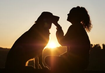 PETLIBRO: Revolutionizing Pet Care with Smart and Stylish Solution