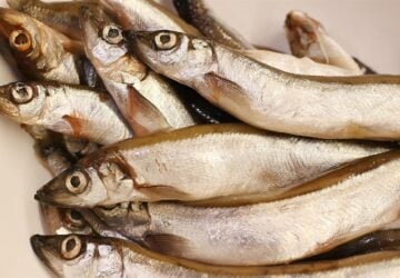 In the dynamic landscape of online retail, The Fish Society, a UK-based company, has carved out a niche for itself by transforming the way consumers purchase seafood. With a commitment to quality, variety, and sustainability, The Fish Society has established itself as a leader in the online seafood market, offering a vast array of fish and shellfish to a growing base of customers who value convenience without compromising on the quality of their food.