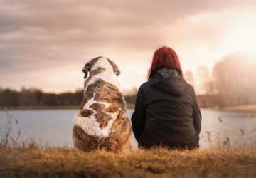 In the United States, where pets are considered cherished members of the family, The Petlab Co. has emerged as a significant player in the pet health industry. Offering a range of advanced nutritional solutions, The Petlab Co. is dedicated to enhancing the well-being and vitality of pets through scientifically-formulated products.