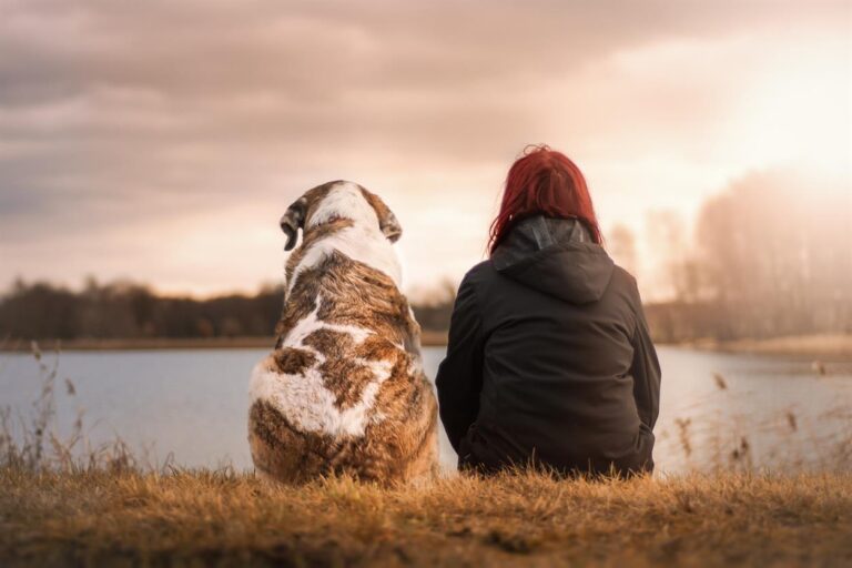 In the United States, where pets are considered cherished members of the family, The Petlab Co. has emerged as a significant player in the pet health industry. Offering a range of advanced nutritional solutions, The Petlab Co. is dedicated to enhancing the well-being and vitality of pets through scientifically-formulated products.