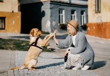 Obesitas bij huisdieren is een groeiend probleem dat kan leiden tot talloze gezondheidsproblemen, waaronder diabetes, artritis en hartziekten. Voor huisdiereigenaren kan het een uitdaging zijn om de juiste aanpak te vinden om hun honden en katten te helpen af ​​te vallen. Just Russel, een vertrouwd merk uit Nederland, biedt deskundig advies en op maat gemaakte diëten die zijn ontworpen om uw harige vrienden te helpen een gezond gewicht te bereiken en te behouden.