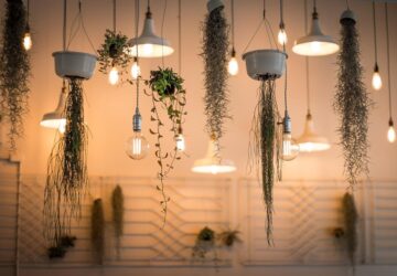 Wenn Sie an stilvolle, hochwertige Lichtdekorationen denken, fällt Ihnen oft ein Name ein: Lights4Fun. Diese deutsche Marke ist für ihren innovativen Ansatz bei der Entwicklung schöner Lichtlösungen bekannt und hat sich zu einem Branchenführer entwickelt. Aber wie hat alles angefangen? Was 2003 als einfache Idee an einem Küchentisch begann, hat sich mittlerweile zu einer weltweiten Erfolgsgeschichte entwickelt. Werfen wir einen genaueren Blick auf den Weg, der Lights4Fun zu der Lichtsensation gemacht hat, die es heute ist.