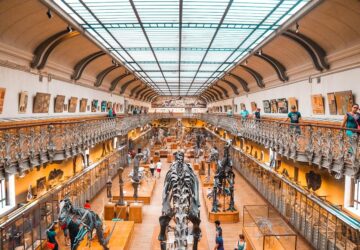 Dans un monde de plus en plus interconnecté, explorer de nouvelles cultures et expériences n'a jamais été aussi simple. Tiqets, une plateforme de réservation en ligne pionnière, transforme la façon dont les voyageurs accèdent aux musées et aux attractions du monde entier. En mettant l'accent sur la commodité et l'accessibilité, Tiqets permet aux visiteurs de s'immerger plus facilement que jamais dans la riche mosaïque culturelle des destinations du monde entier, y compris la France.