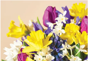 In the blossoming heart of the United Kingdom's e-commerce flora, Serenata Flowers emerges as a beacon of innovation and excellence. With an unwavering commitment to transforming the landscape of flower delivery, this visionary brand has cultivated a unique position in the market, becoming synonymous with quality, creativity, and unparalleled service. This article explores Serenata Flowers' transformative journey, highlighting how this trailblazing company has redefined the art and business of flower delivery.