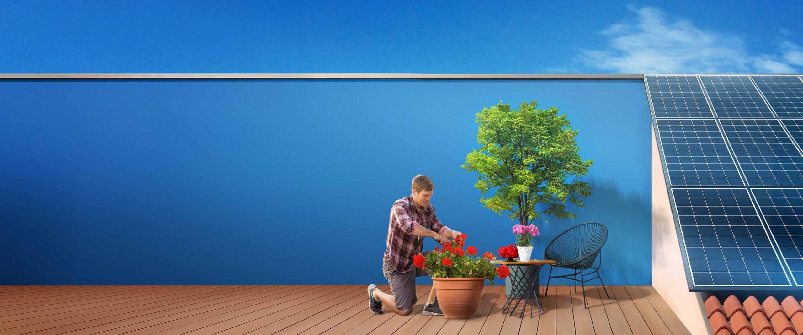 Stessa scena della terrazza con uomo, fiori rossi, albero e pannelli solari sotto cielo blu