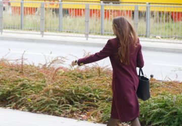Au cœur du marché français soucieux de la mode, PULL&BEAR se distingue non seulement par ses offres tendance, mais aussi par le fait qu'il est le pionnier d'un mouvement vers un style durable dans le secteur de la fast-fashion. Reconnu pour capturer l'esprit de jeunesse à travers ses créations dynamiques et décontractées, PULL&BEAR s'est lancé dans un voyage transformateur, redéfinissant l'éthos des tendances rapides avec un engagement en faveur de la responsabilité environnementale. Ce récit explore la façon dont PULL&BEAR navigue sur la voie de la durabilité, en s'efforçant d'harmoniser les exigences de la fast fashion avec les impératifs de la gestion écologique.